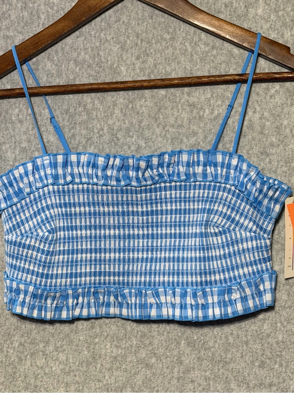 Colsie Blue and White Gingham Smocked Cropped Cami